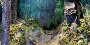 Into the Woods